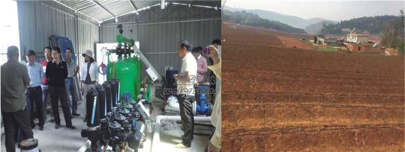 安宁蓝莓庄园水肥一体化案例